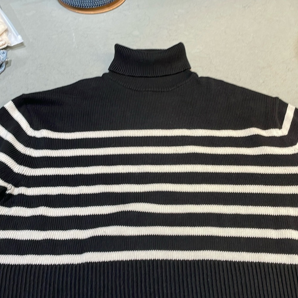 Striped side slit turtleneck